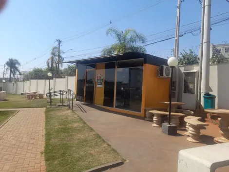 Alugar Apartamento / Padr&atilde;o em S&atilde;o Jos&eacute; do Rio Preto R$ 1.500,00 - Foto 13