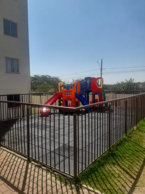 Alugar Apartamento / Padr&atilde;o em S&atilde;o Jos&eacute; do Rio Preto R$ 1.500,00 - Foto 14