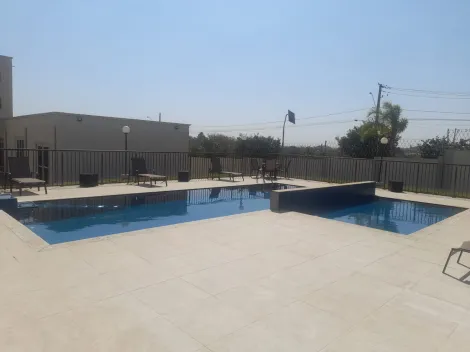 Alugar Apartamento / Padr&atilde;o em S&atilde;o Jos&eacute; do Rio Preto R$ 1.500,00 - Foto 17