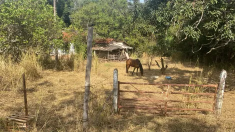 Comprar Rural / S&iacute;tio em S&atilde;o Jos&eacute; do Rio Preto R$ 4.200.000,00 - Foto 13