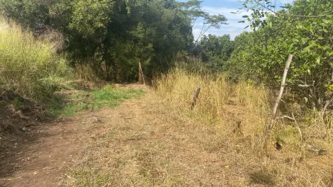 Comprar Rural / S&iacute;tio em S&atilde;o Jos&eacute; do Rio Preto R$ 4.200.000,00 - Foto 8