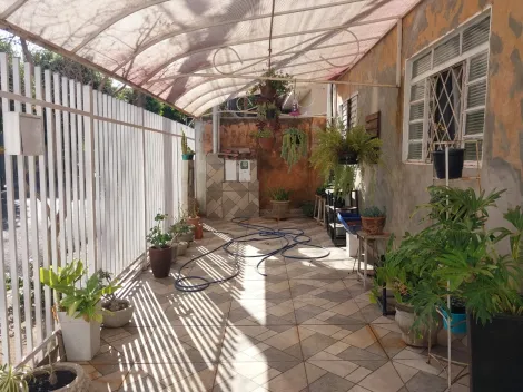 Alugar Casa / Padr&atilde;o em S&atilde;o Jos&eacute; do Rio Preto. apenas R$ 250.000,00