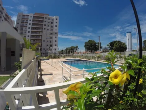 Alugar Apartamento / Padr&atilde;o em S&atilde;o Jos&eacute; do Rio Preto R$ 1.600,00 - Foto 14