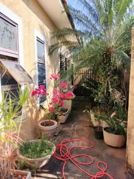 Comprar Casa / Padr&atilde;o em S&atilde;o Jos&eacute; do Rio Preto R$ 350.000,00 - Foto 4