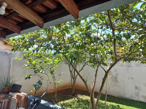 Comprar Casa / Padr&atilde;o em S&atilde;o Jos&eacute; do Rio Preto R$ 230.000,00 - Foto 11