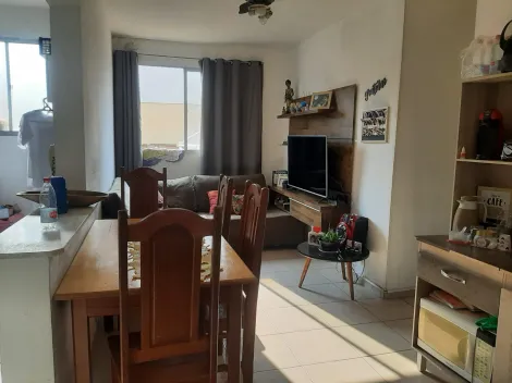 Comprar Apartamento / Padr&atilde;o em S&atilde;o Jos&eacute; do Rio Preto R$ 300.000,00 - Foto 9