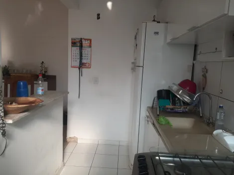Comprar Apartamento / Padr&atilde;o em S&atilde;o Jos&eacute; do Rio Preto R$ 300.000,00 - Foto 13