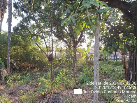 Comprar Casa / Padr&atilde;o em Ic&eacute;m R$ 425.000,00 - Foto 8