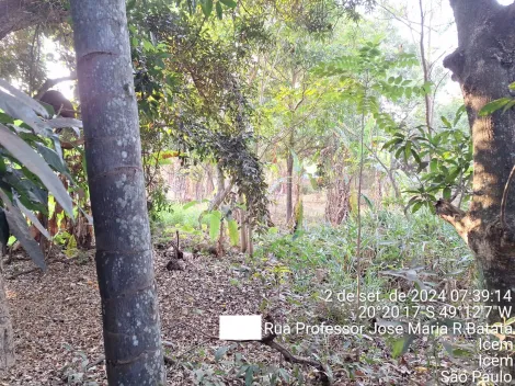 Comprar Casa / Padr&atilde;o em Ic&eacute;m R$ 425.000,00 - Foto 9