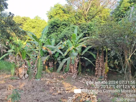 Comprar Casa / Padr&atilde;o em Ic&eacute;m R$ 425.000,00 - Foto 12