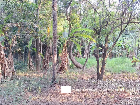 Comprar Casa / Padr&atilde;o em Ic&eacute;m R$ 425.000,00 - Foto 13