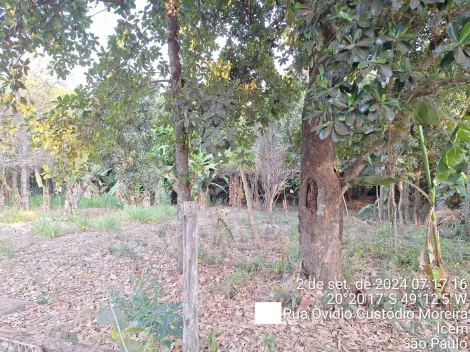 Comprar Casa / Padr&atilde;o em Ic&eacute;m R$ 425.000,00 - Foto 22