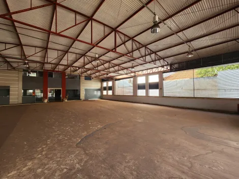 Comercial / Sal&atilde;o em S&atilde;o Jos&eacute; do Rio Preto 