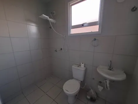 Alugar Casa / Padr&atilde;o em S&atilde;o Jos&eacute; do Rio Preto R$ 900,00 - Foto 6
