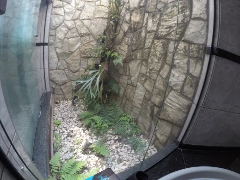 Comprar Casa / Condom&iacute;nio em S&atilde;o Jos&eacute; do Rio Preto R$ 2.190.000,00 - Foto 54