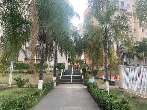 Comprar Apartamento / Padr&atilde;o em S&atilde;o Jos&eacute; do Rio Preto R$ 250.000,00 - Foto 7