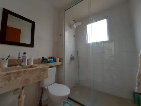 Alugar Apartamento / Padr&atilde;o em S&atilde;o Jos&eacute; do Rio Preto R$ 1.100,00 - Foto 6