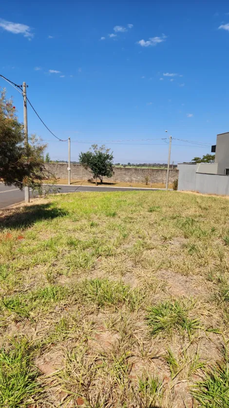 Comprar Terreno / Condom&iacute;nio em Mirassol R$ 200.000,00 - Foto 2
