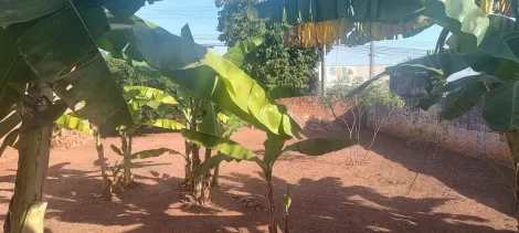 Alugar Terreno / Padr&atilde;o em Bady Bassitt. apenas R$ 150.000,00