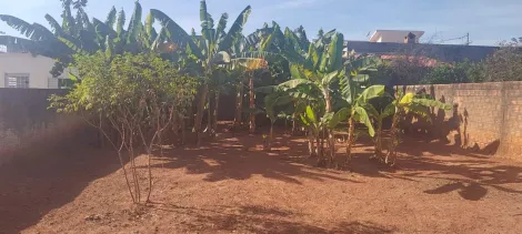 Comprar Terreno / Padr&atilde;o em Bady Bassitt R$ 150.000,00 - Foto 2