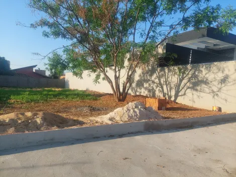 Comprar Terreno / Padr&atilde;o em S&atilde;o Jos&eacute; do Rio Preto R$ 560.000,00 - Foto 2
