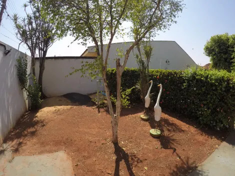Comprar Casa / Padr&atilde;o em S&atilde;o Jos&eacute; do Rio Preto R$ 550.000,00 - Foto 7