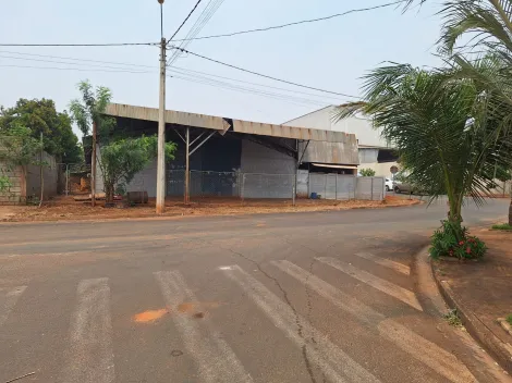 Comprar Comercial / Sal&atilde;o em Ipigu&aacute; R$ 1.200.000,00 - Foto 3