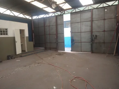 Comercial / Sal&atilde;o em S&atilde;o Jos&eacute; do Rio Preto 