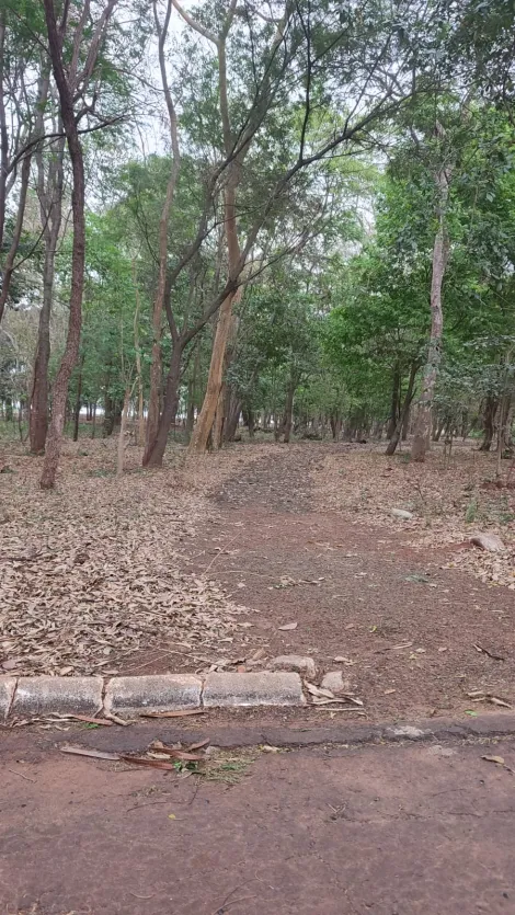 Comprar Rural / Rancho em Jos&eacute; Bonif&aacute;cio R$ 620.000,00 - Foto 30