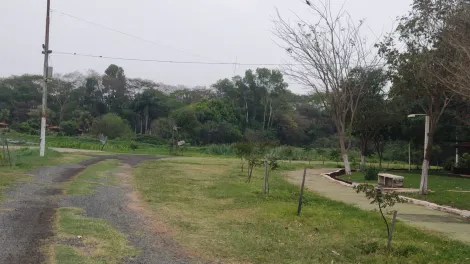Comprar Rural / Rancho em Jos&eacute; Bonif&aacute;cio R$ 620.000,00 - Foto 31