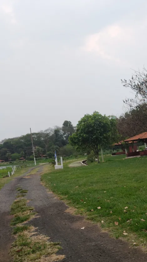 Comprar Rural / Rancho em Jos&eacute; Bonif&aacute;cio R$ 620.000,00 - Foto 33