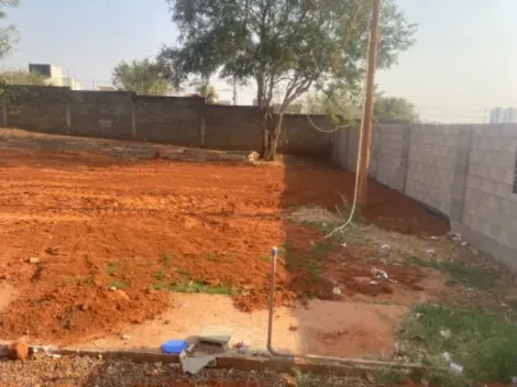 Alugar Terreno / Padr&atilde;o em S&atilde;o Jos&eacute; do Rio Preto R$ 3.500,00 - Foto 6