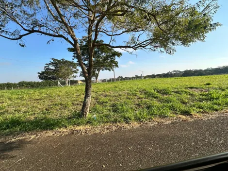 Comprar Terreno / Condom&iacute;nio em S&atilde;o Jos&eacute; do Rio Preto R$ 1.100.000,00 - Foto 31