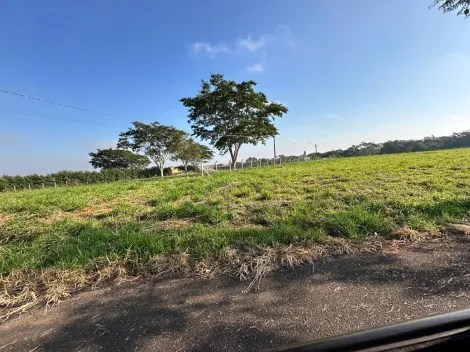 Comprar Terreno / Condom&iacute;nio em S&atilde;o Jos&eacute; do Rio Preto R$ 1.100.000,00 - Foto 32
