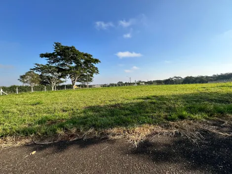 Comprar Terreno / Condom&iacute;nio em S&atilde;o Jos&eacute; do Rio Preto R$ 1.100.000,00 - Foto 34