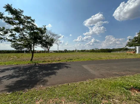 Comprar Terreno / Condom&iacute;nio em S&atilde;o Jos&eacute; do Rio Preto R$ 1.100.000,00 - Foto 12