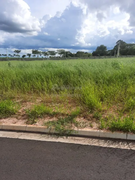 Terreno / Condom&iacute;nio em S&atilde;o Jos&eacute; do Rio Preto 