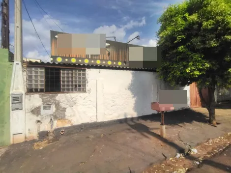 Alugar Casa / Padr&atilde;o em S&atilde;o Jos&eacute; do Rio Preto. apenas R$ 180.000,00