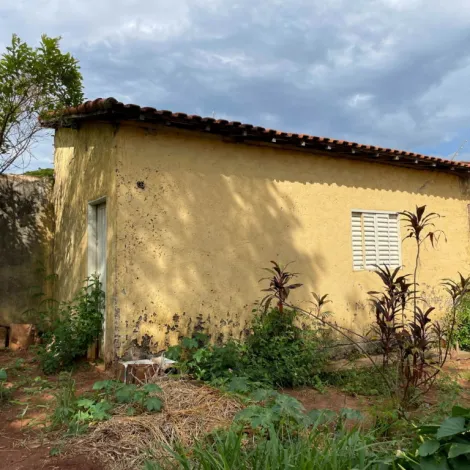 Comprar Casa / Padr&atilde;o em S&atilde;o Jos&eacute; do Rio Preto R$ 1.200.000,00 - Foto 5