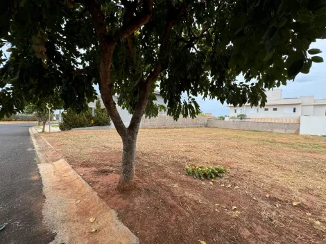 Comprar Terreno / Condom&iacute;nio em S&atilde;o Jos&eacute; do Rio Preto R$ 750.000,00 - Foto 5