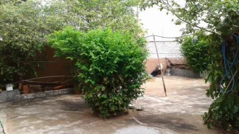 Alugar Casa / Padr&atilde;o em S&atilde;o Jos&eacute; do Rio Preto. apenas R$ 600.000,00