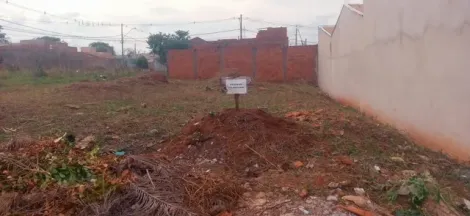 Terreno / Padr&atilde;o em S&atilde;o Jos&eacute; do Rio Preto 