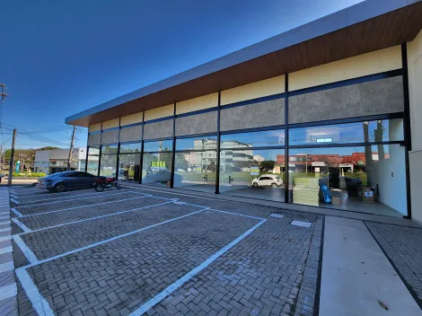 Alugar Comercial / Sala em S&atilde;o Jos&eacute; do Rio Preto R$ 4.000,00 - Foto 2