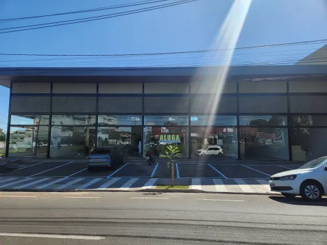 Alugar Comercial / Sala em S&atilde;o Jos&eacute; do Rio Preto R$ 4.000,00 - Foto 4