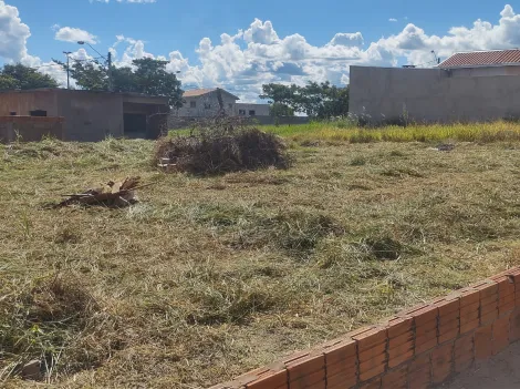 Comprar Terreno / Padr&atilde;o em Mirassol R$ 95.000,00 - Foto 7