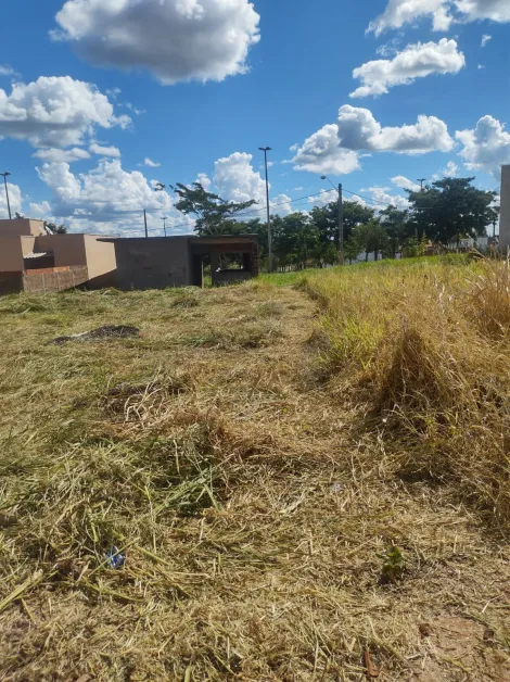 Comprar Terreno / Padr&atilde;o em Mirassol R$ 95.000,00 - Foto 5