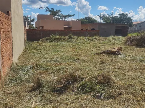 Comprar Terreno / Padr&atilde;o em Mirassol R$ 95.000,00 - Foto 6