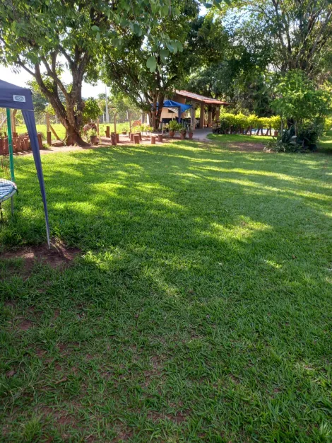 Comprar Rural / Ch&aacute;cara em S&atilde;o Jos&eacute; do Rio Preto R$ 490.000,00 - Foto 5