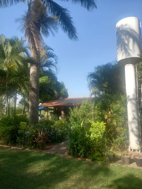 Comprar Rural / Ch&aacute;cara em S&atilde;o Jos&eacute; do Rio Preto R$ 490.000,00 - Foto 7