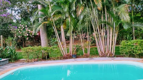 Comprar Rural / Ch&aacute;cara em S&atilde;o Jos&eacute; do Rio Preto R$ 490.000,00 - Foto 8